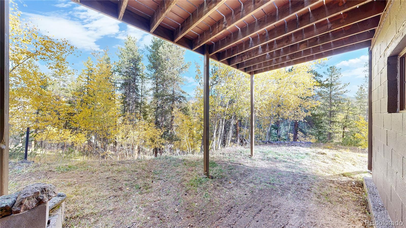 MLS Image #22 for 225  renaud road,bailey, Colorado