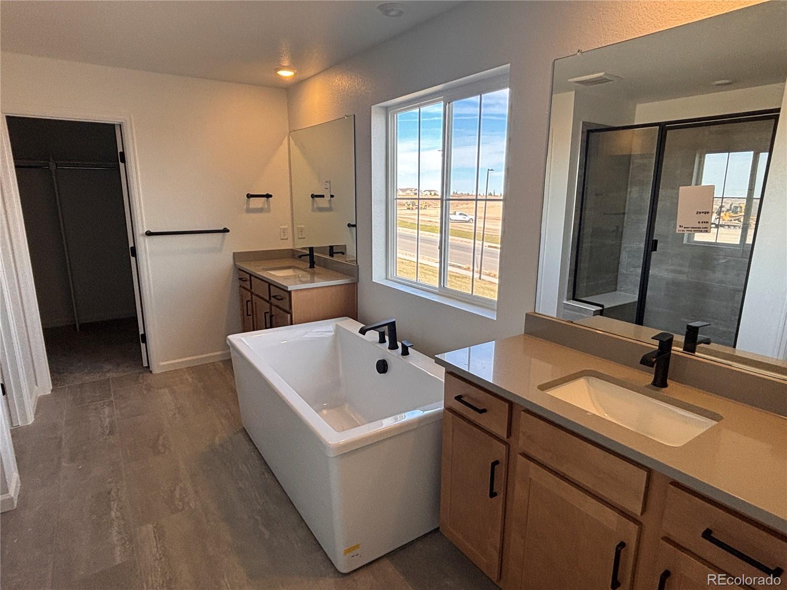 MLS Image #3 for 3603  recess lane,castle rock, Colorado