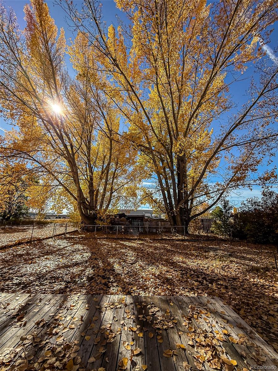 MLS Image #13 for 2204  east drive,monte vista, Colorado