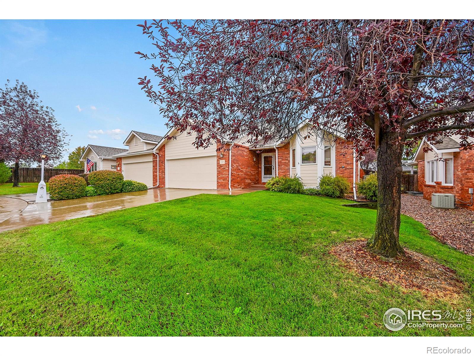 MLS Image #1 for 1626  tulip court,longmont, Colorado