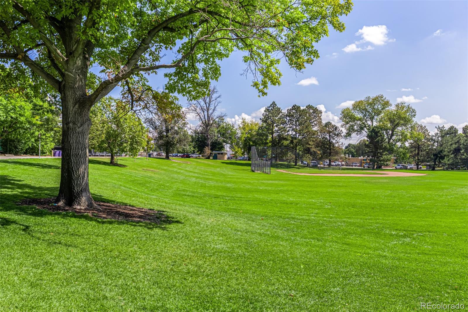 MLS Image #43 for 1423  elizabeth street,denver, Colorado