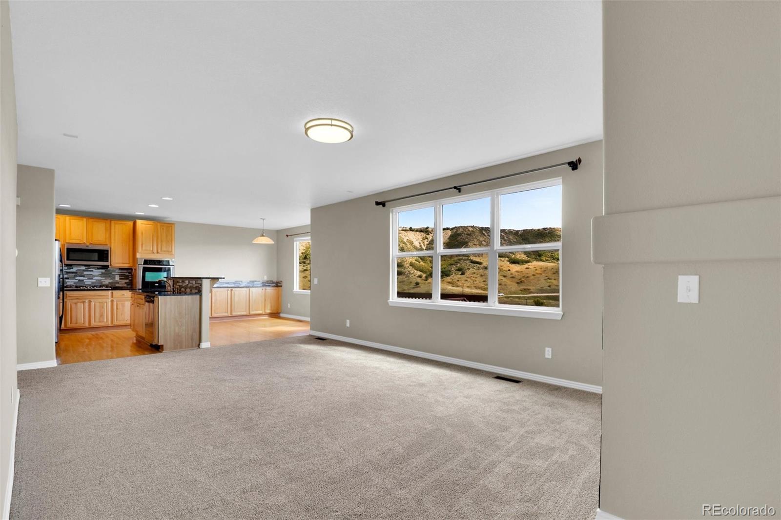 MLS Image #11 for 2982  mountain sky drive,castle rock, Colorado