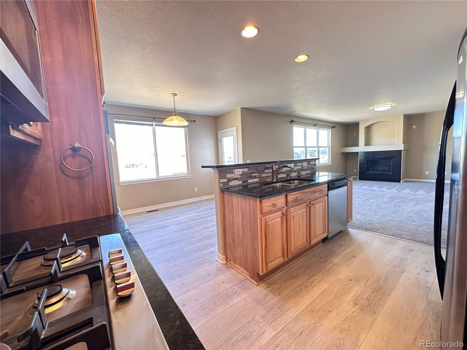MLS Image #15 for 2982  mountain sky drive,castle rock, Colorado