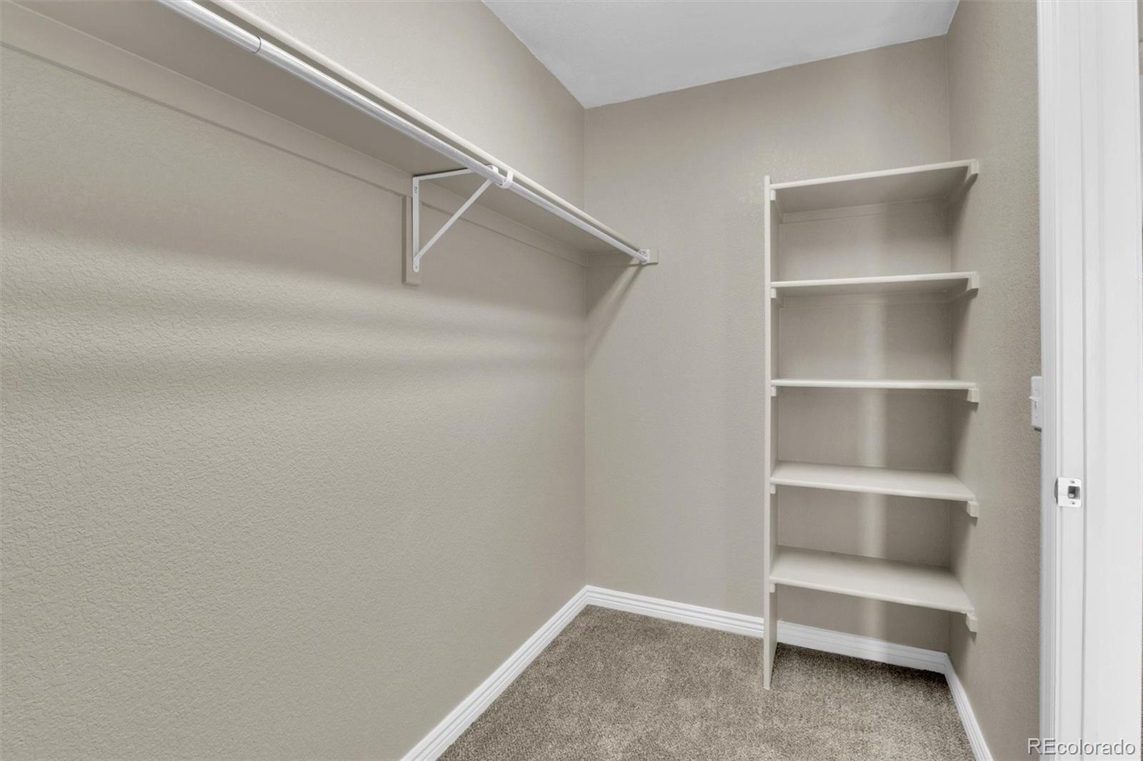 MLS Image #25 for 2982  mountain sky drive,castle rock, Colorado