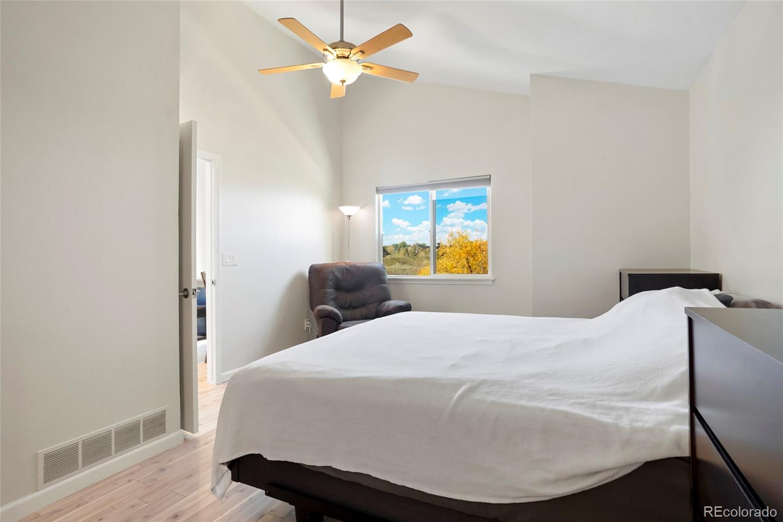 MLS Image #12 for 535  howe street,castle rock, Colorado