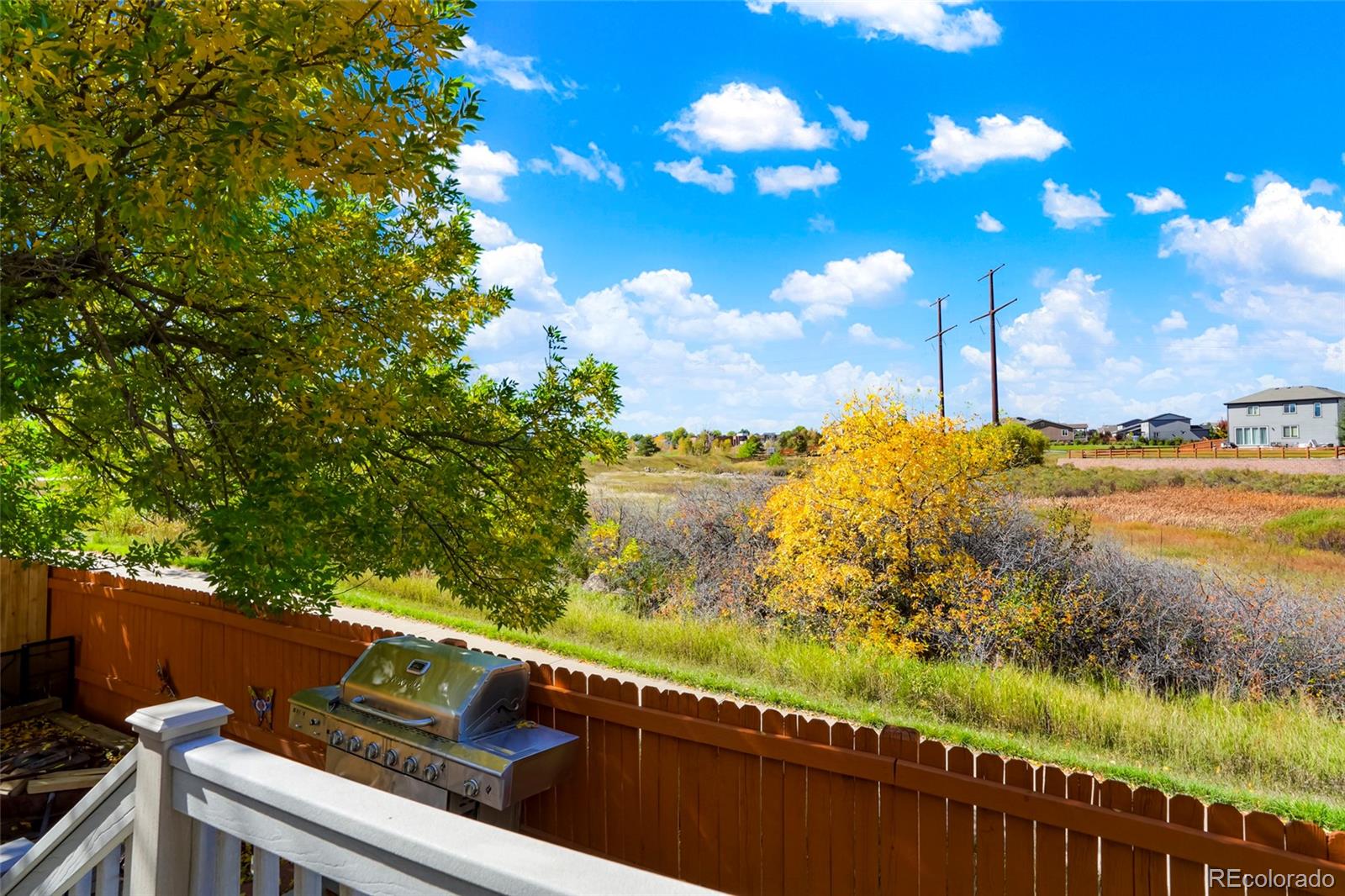 MLS Image #21 for 535  howe street,castle rock, Colorado