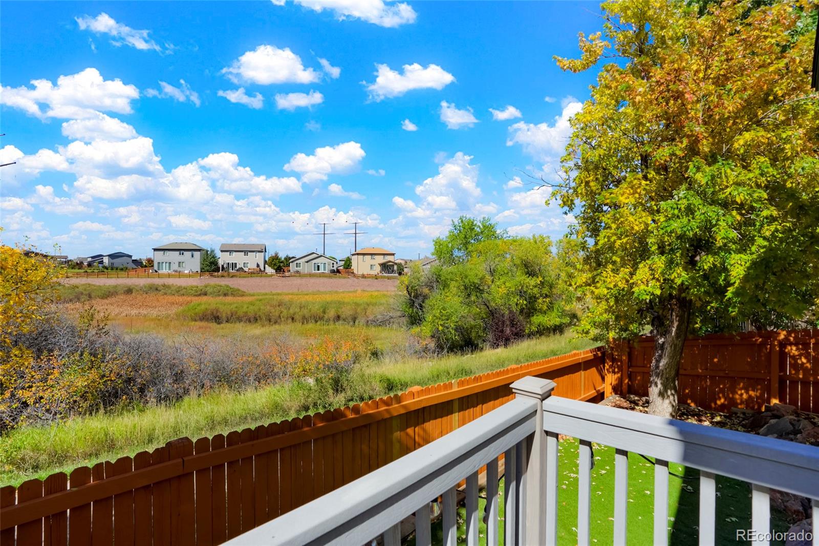 MLS Image #22 for 535  howe street,castle rock, Colorado