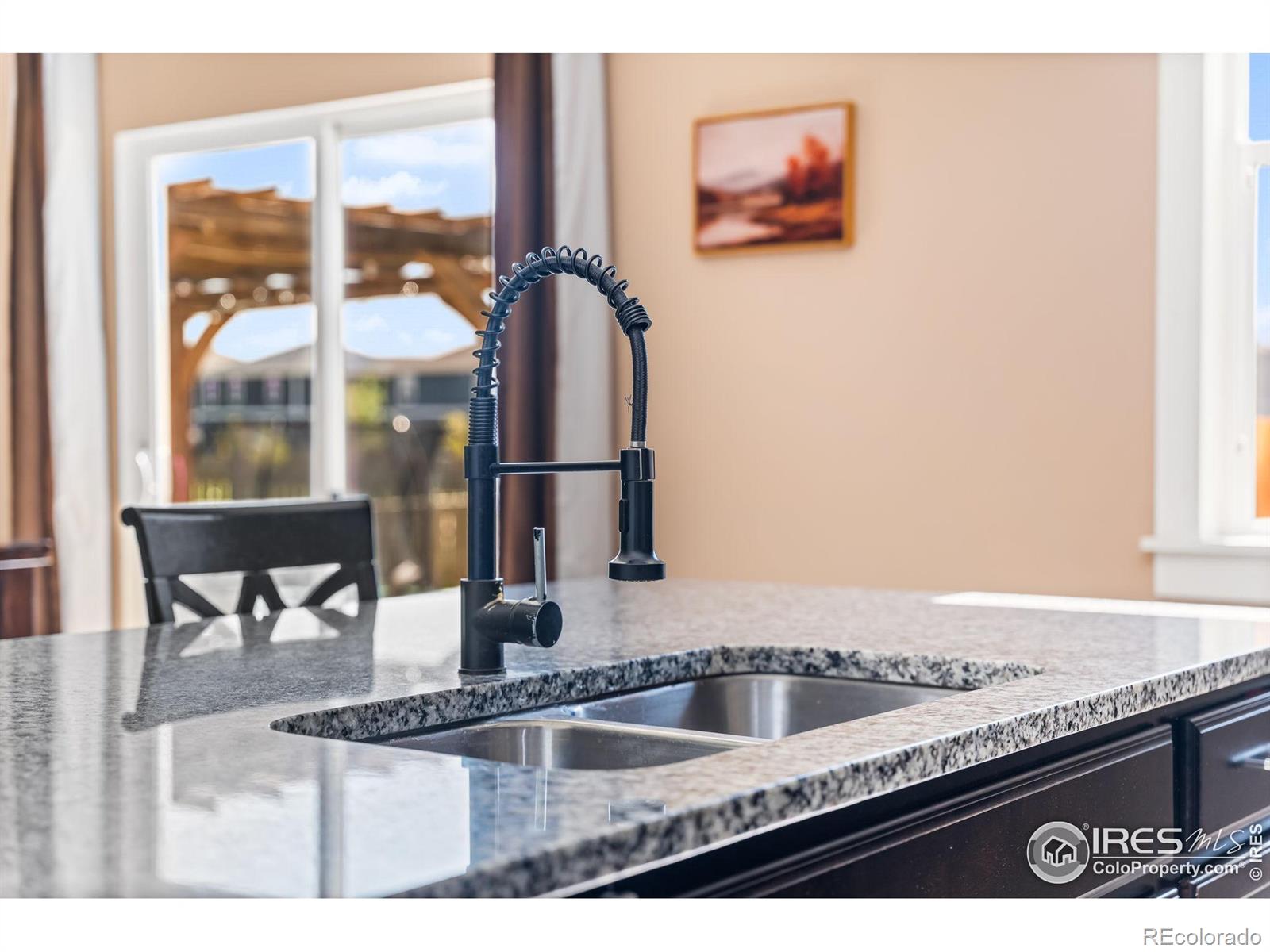 MLS Image #10 for 503  buckrake street,severance, Colorado