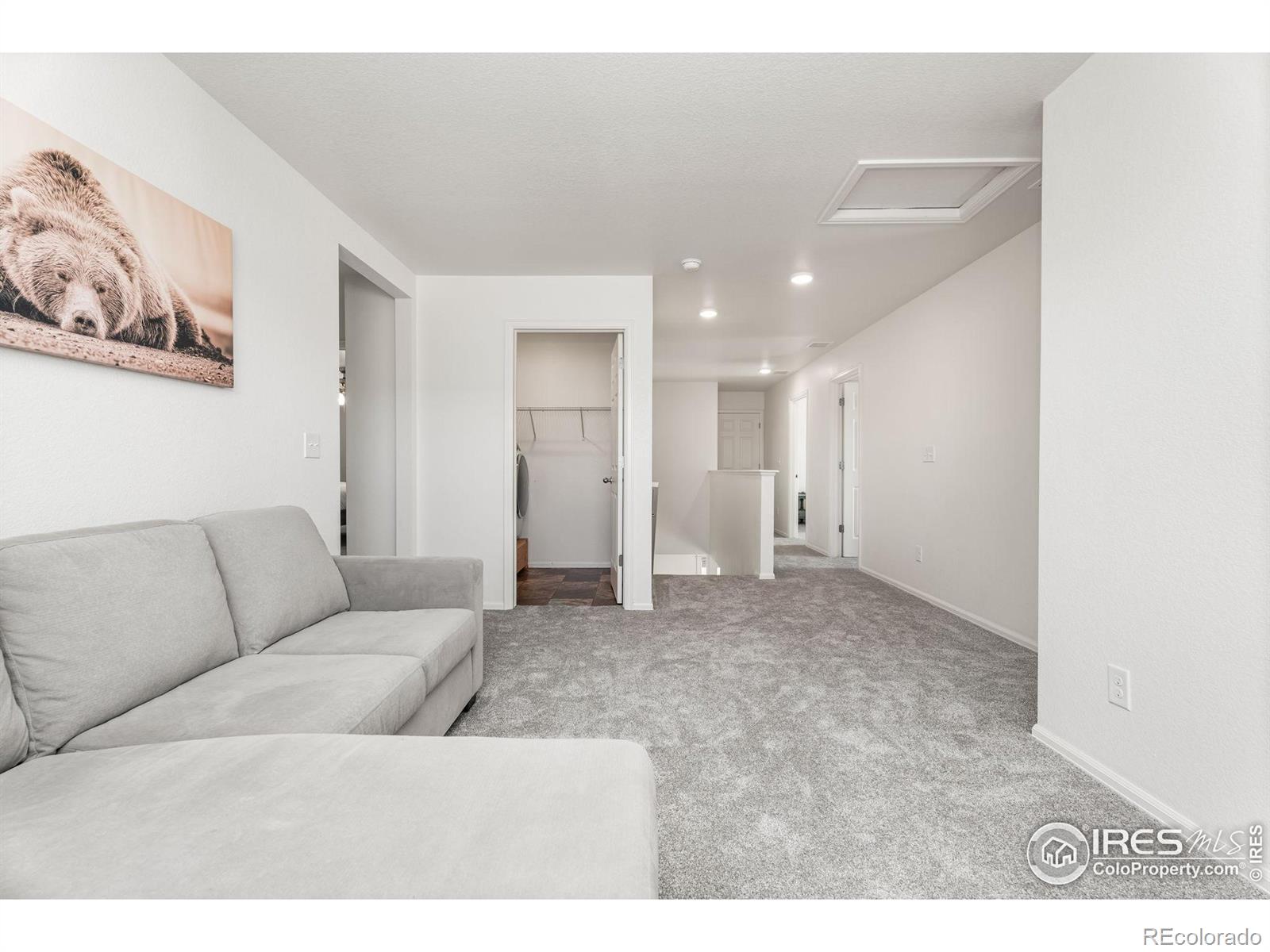 MLS Image #19 for 503  buckrake street,severance, Colorado