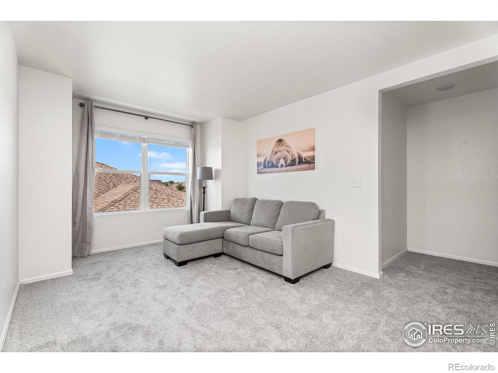 MLS Image #20 for 503  buckrake street,severance, Colorado