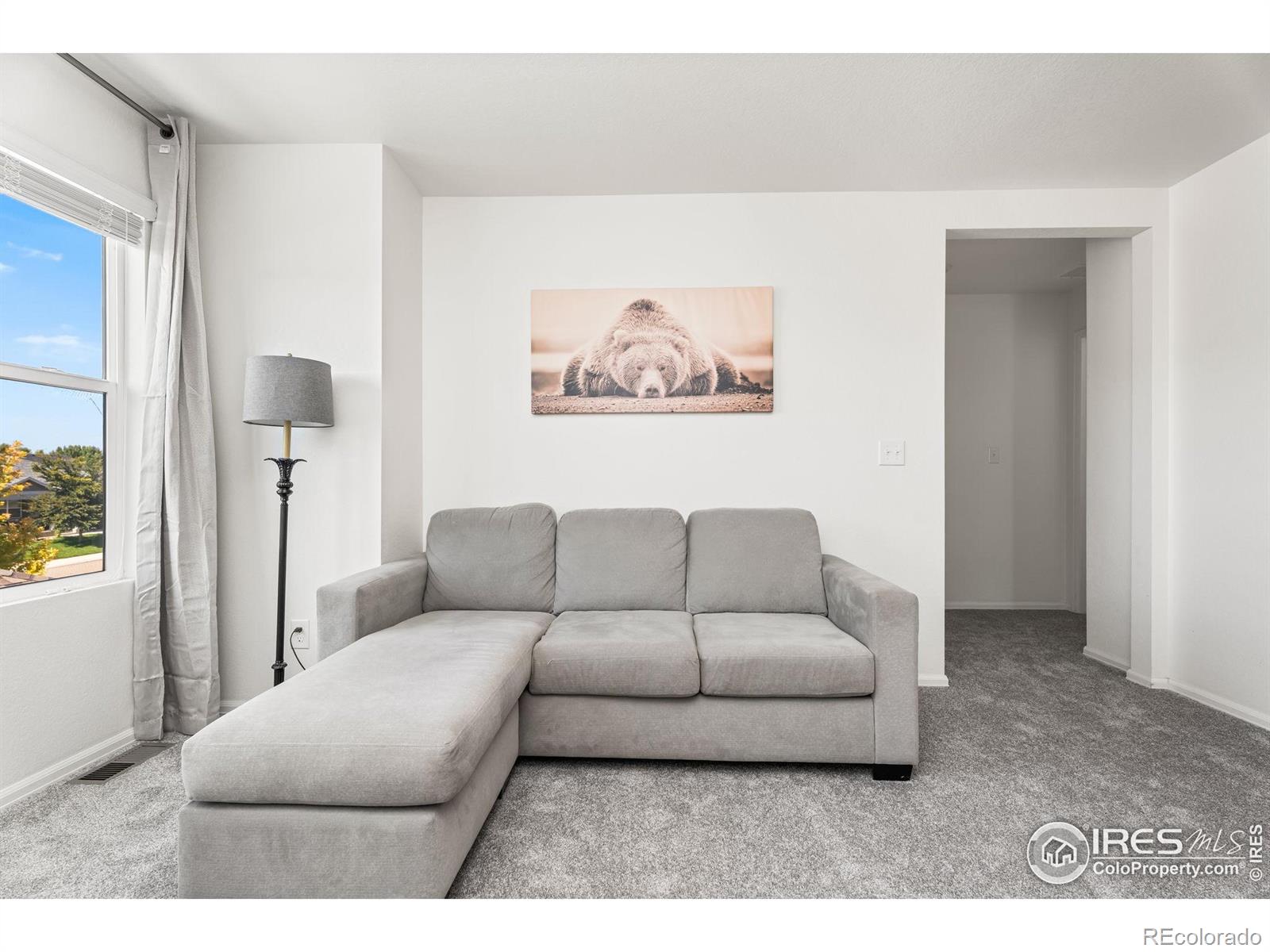 MLS Image #21 for 503  buckrake street,severance, Colorado