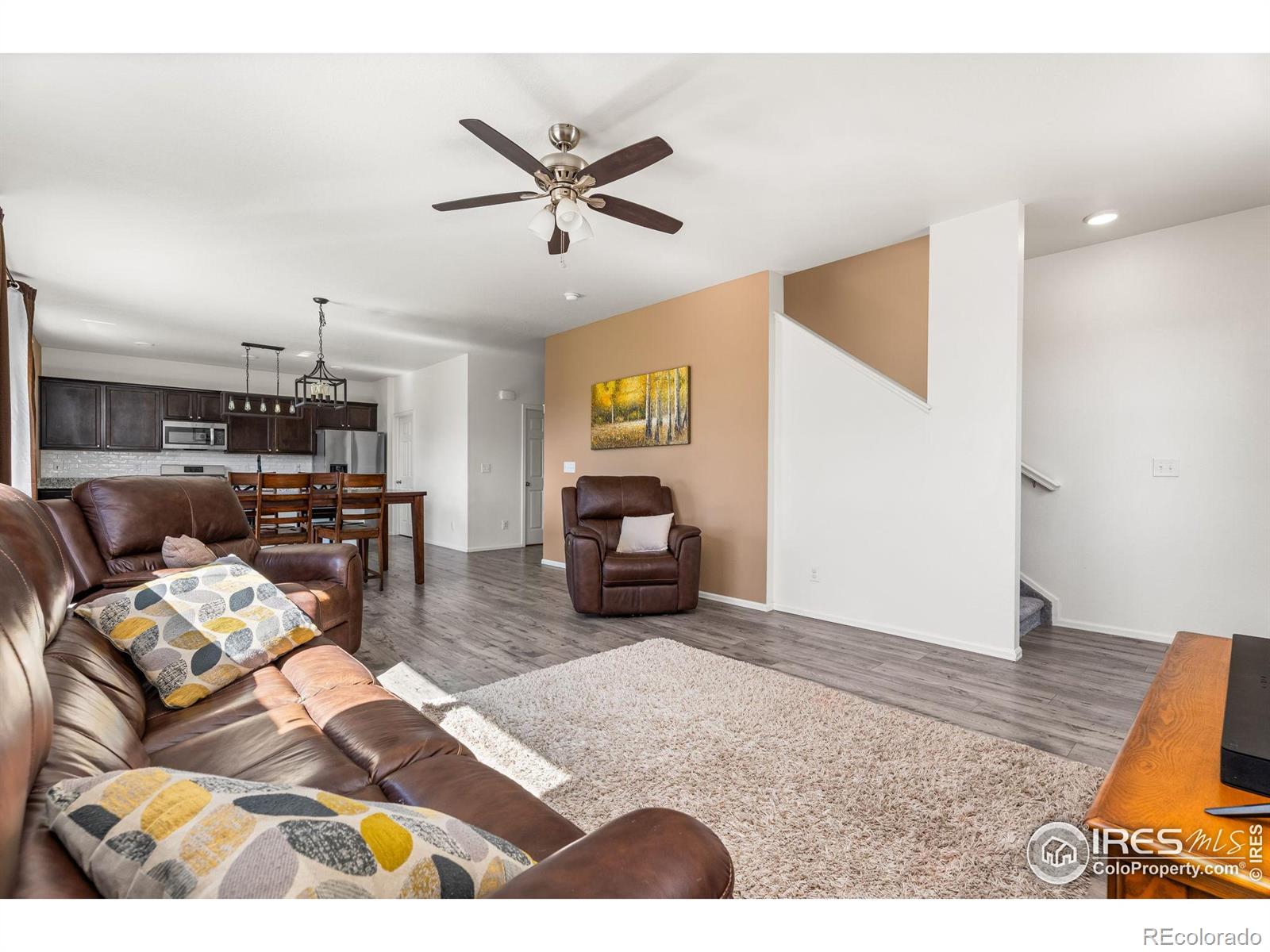 MLS Image #8 for 503  buckrake street,severance, Colorado