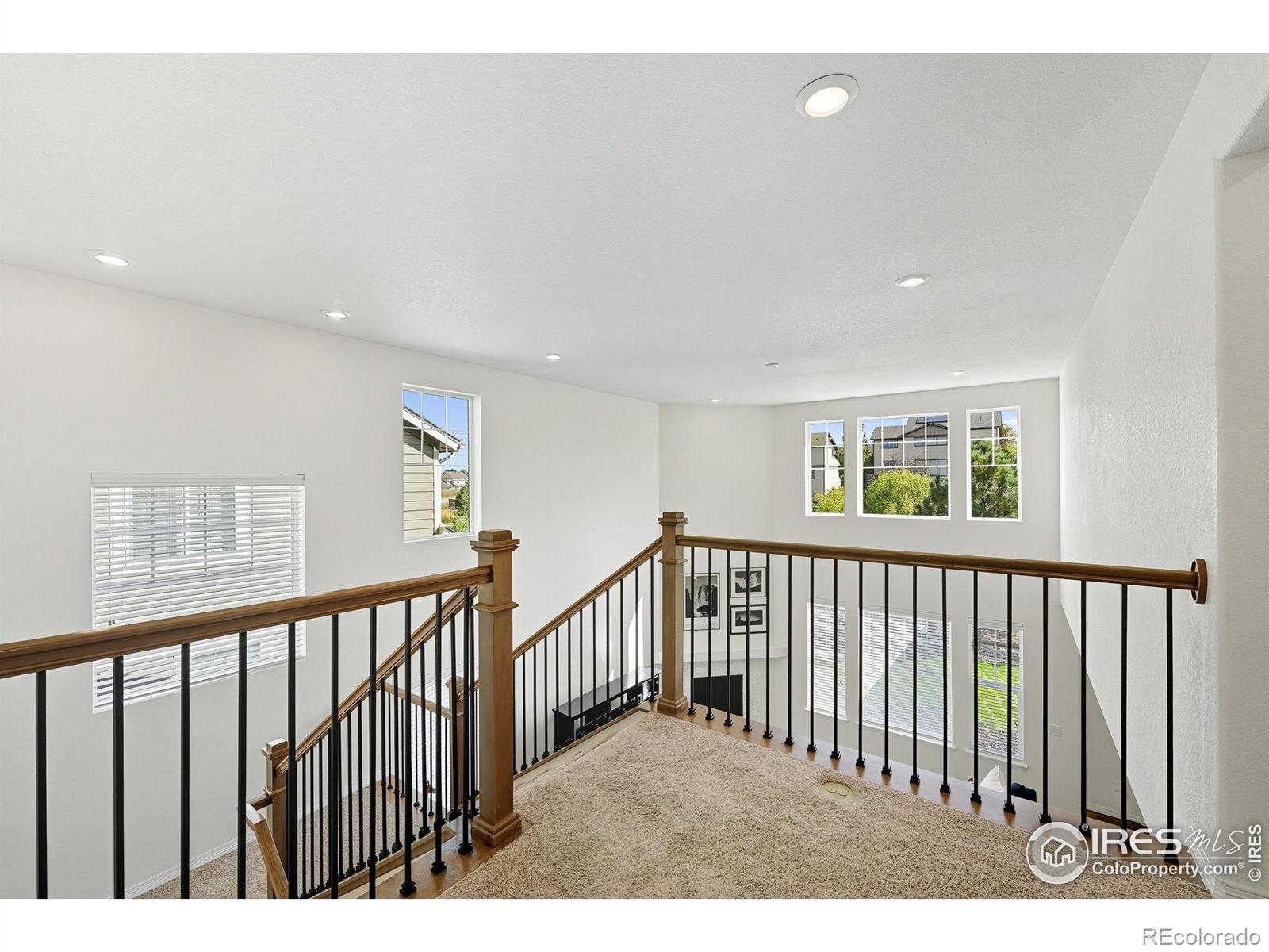 MLS Image #18 for 648  sundance circle,erie, Colorado
