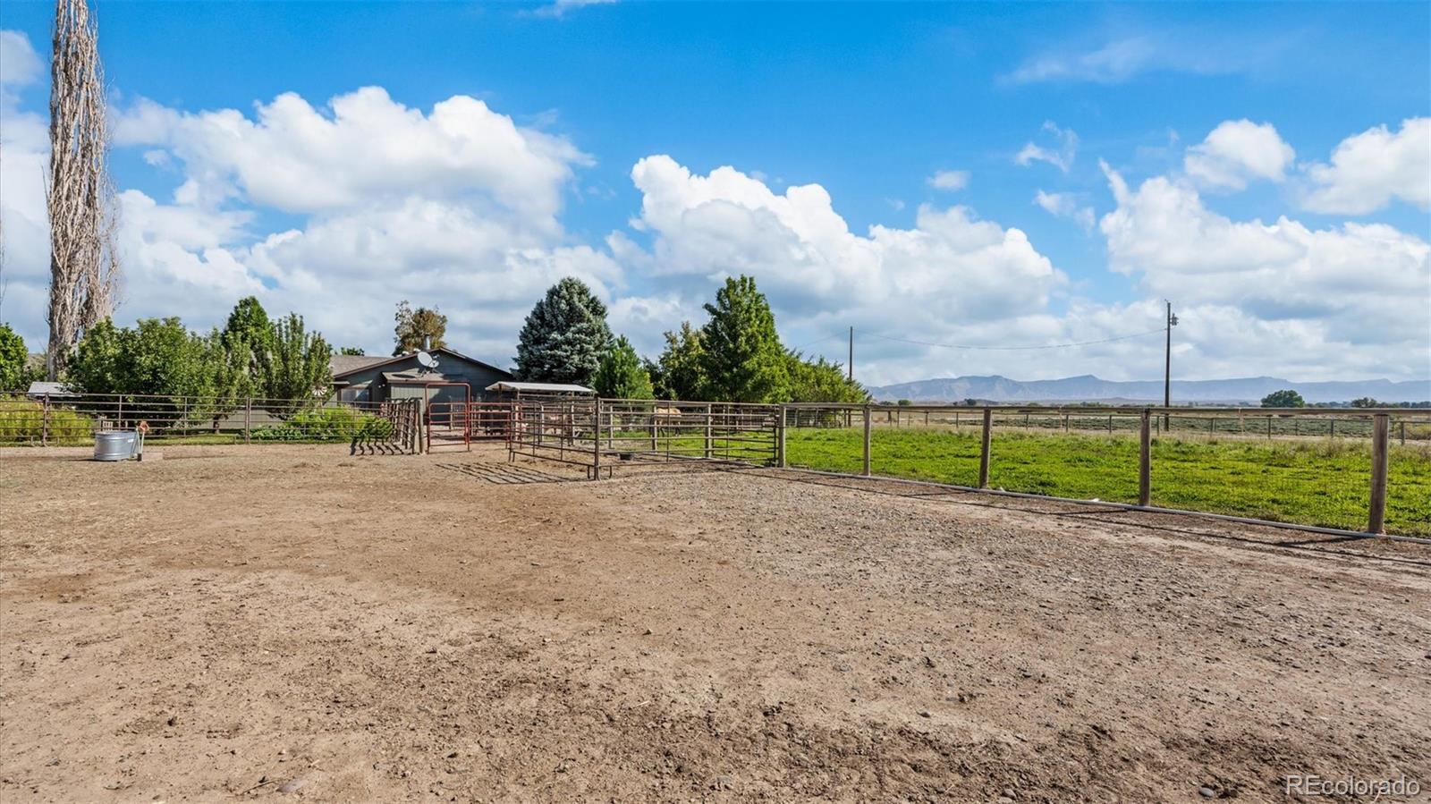 MLS Image #14 for 1473  17 road,fruita, Colorado