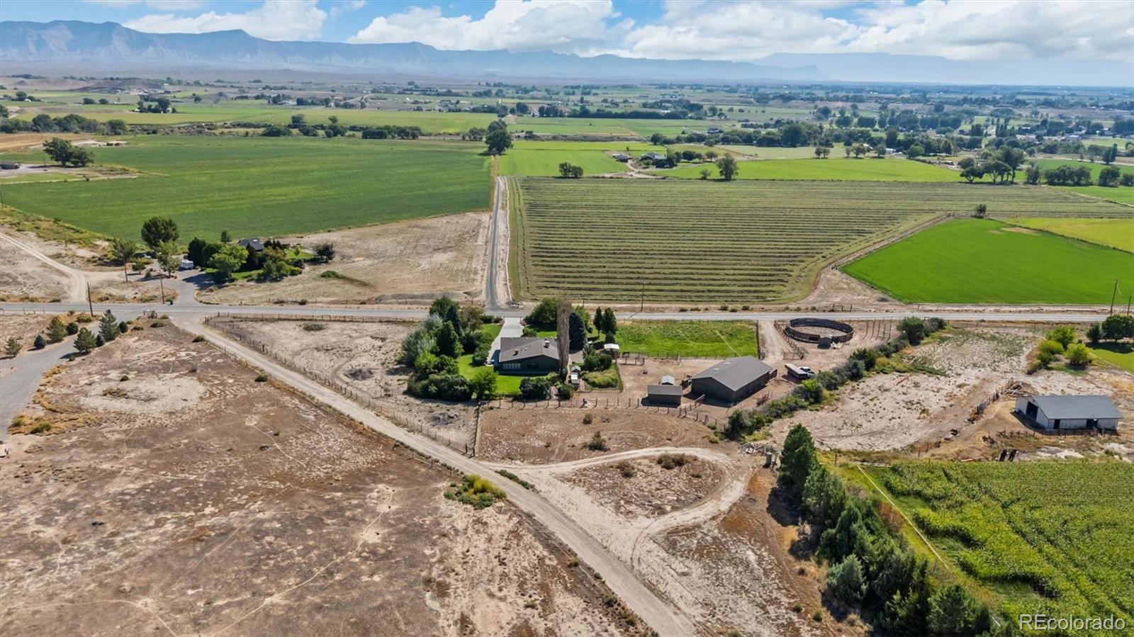 MLS Image #17 for 1473  17 road,fruita, Colorado