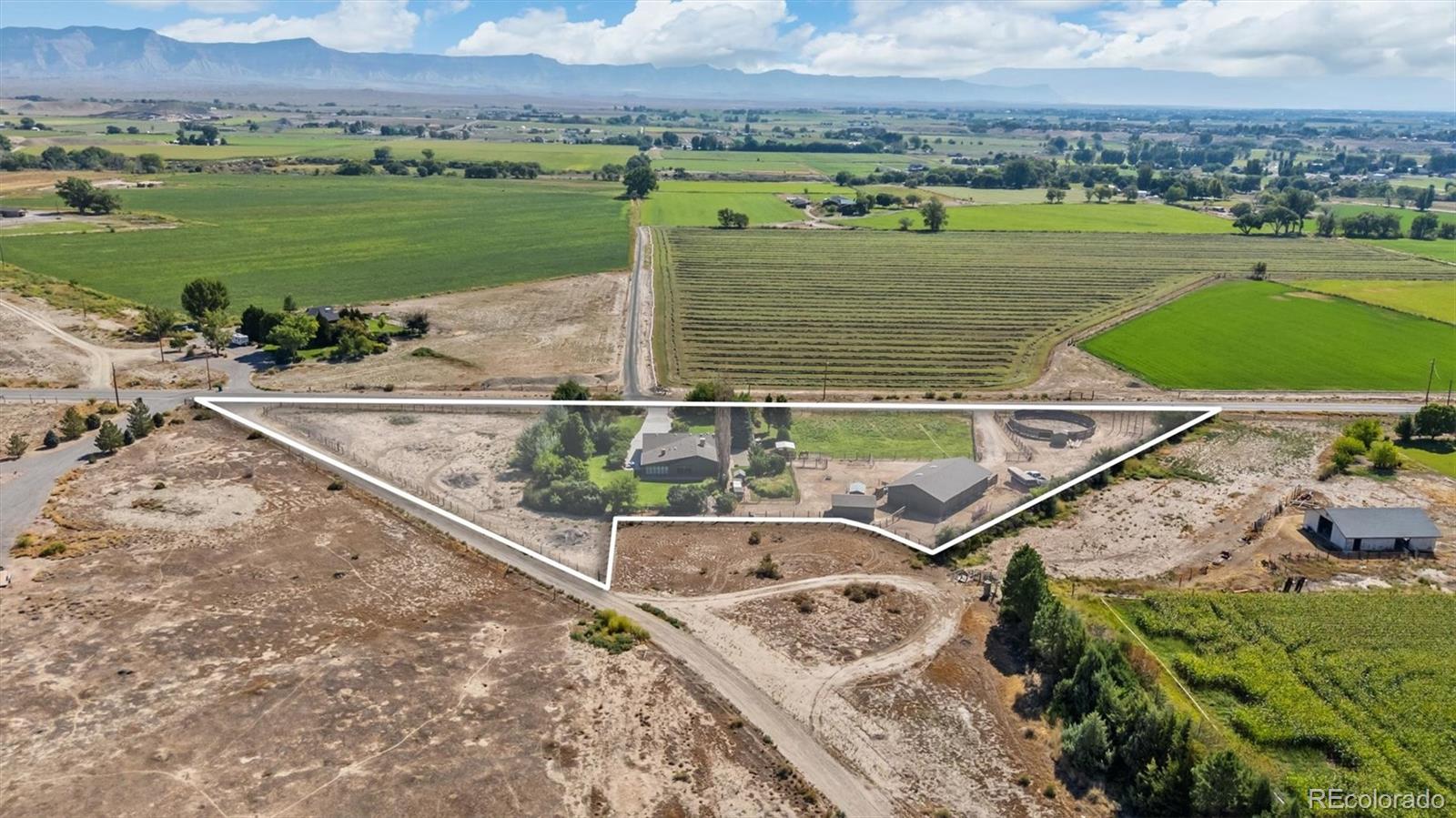 MLS Image #3 for 1473  17 road,fruita, Colorado