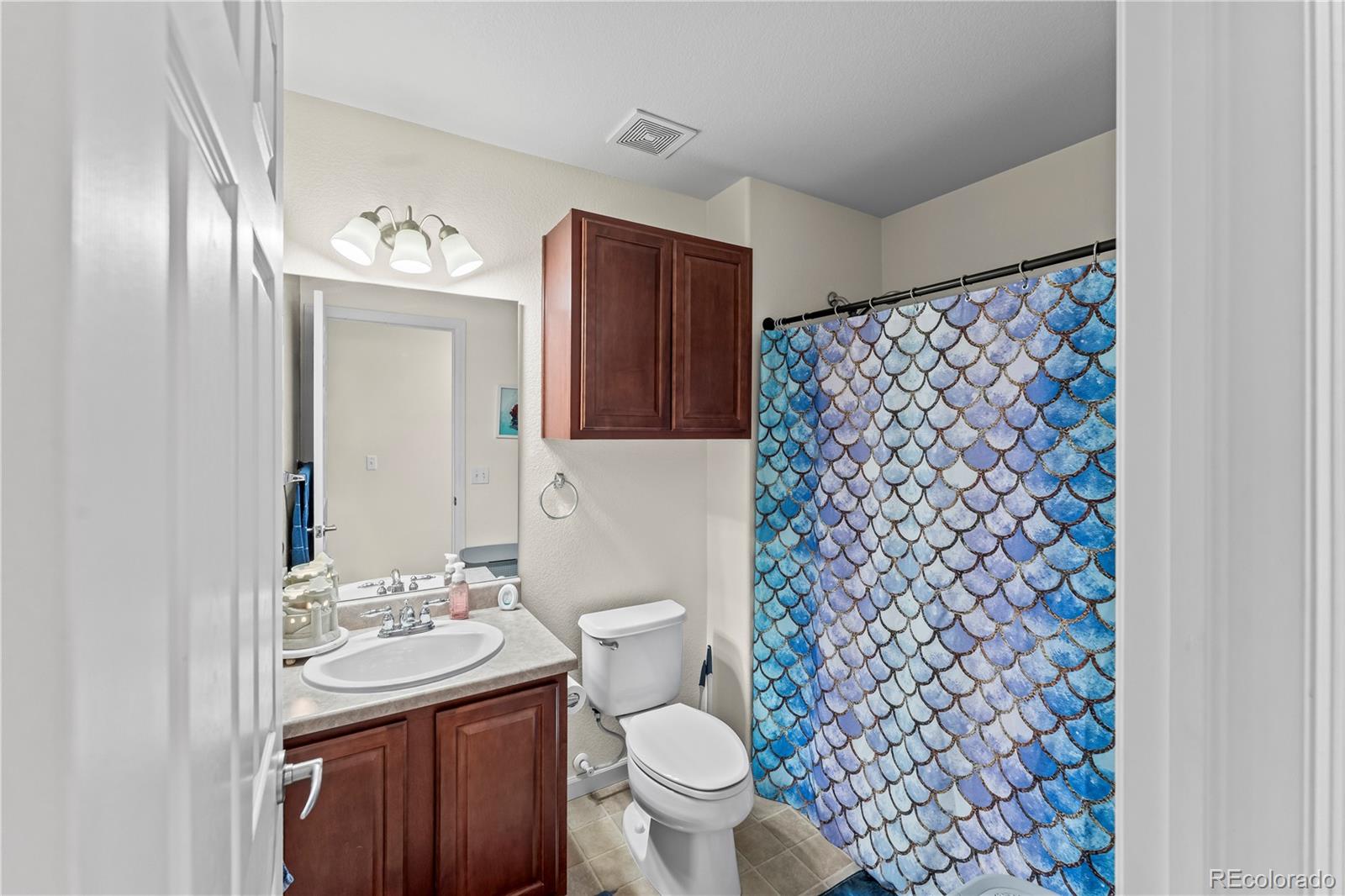 MLS Image #16 for 11856  gorman grove,peyton, Colorado