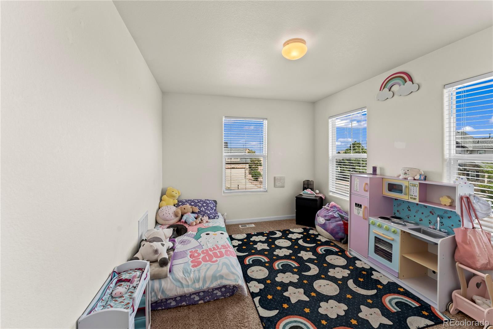 MLS Image #17 for 11856  gorman grove,peyton, Colorado
