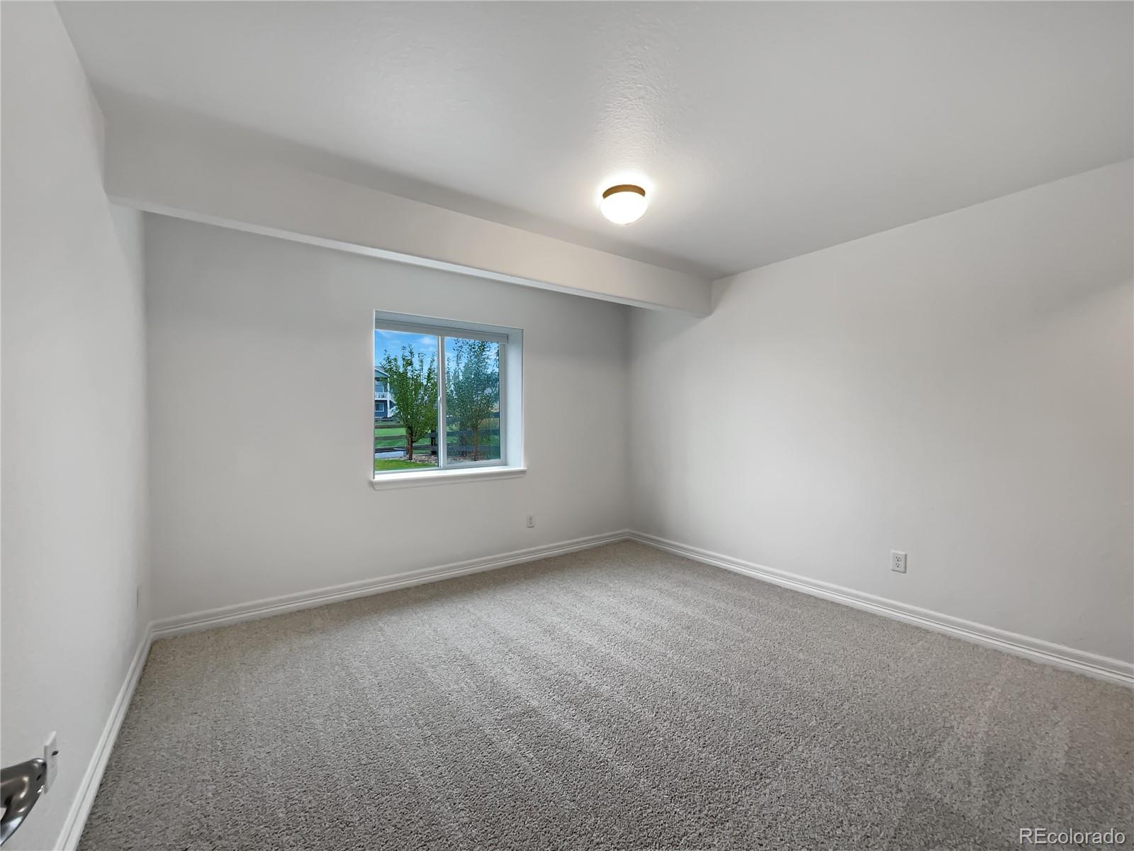 MLS Image #31 for 5510  homeward drive,timnath, Colorado