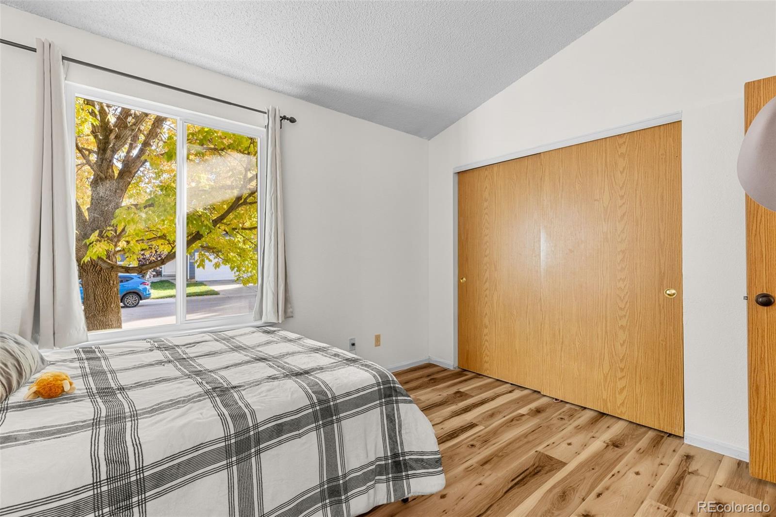 MLS Image #19 for 5323 e sandpiper avenue,castle rock, Colorado