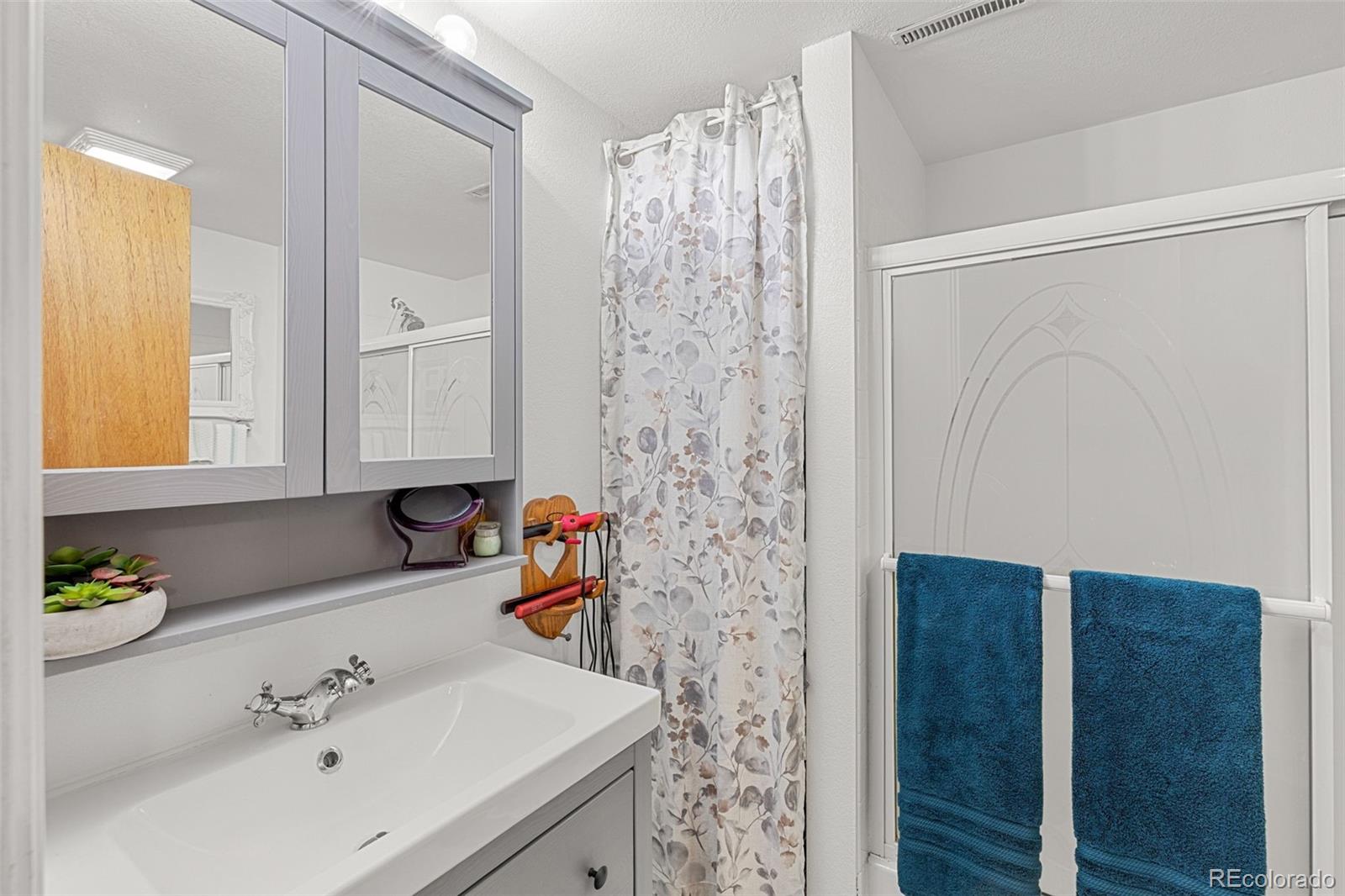 MLS Image #30 for 5323 e sandpiper avenue,castle rock, Colorado