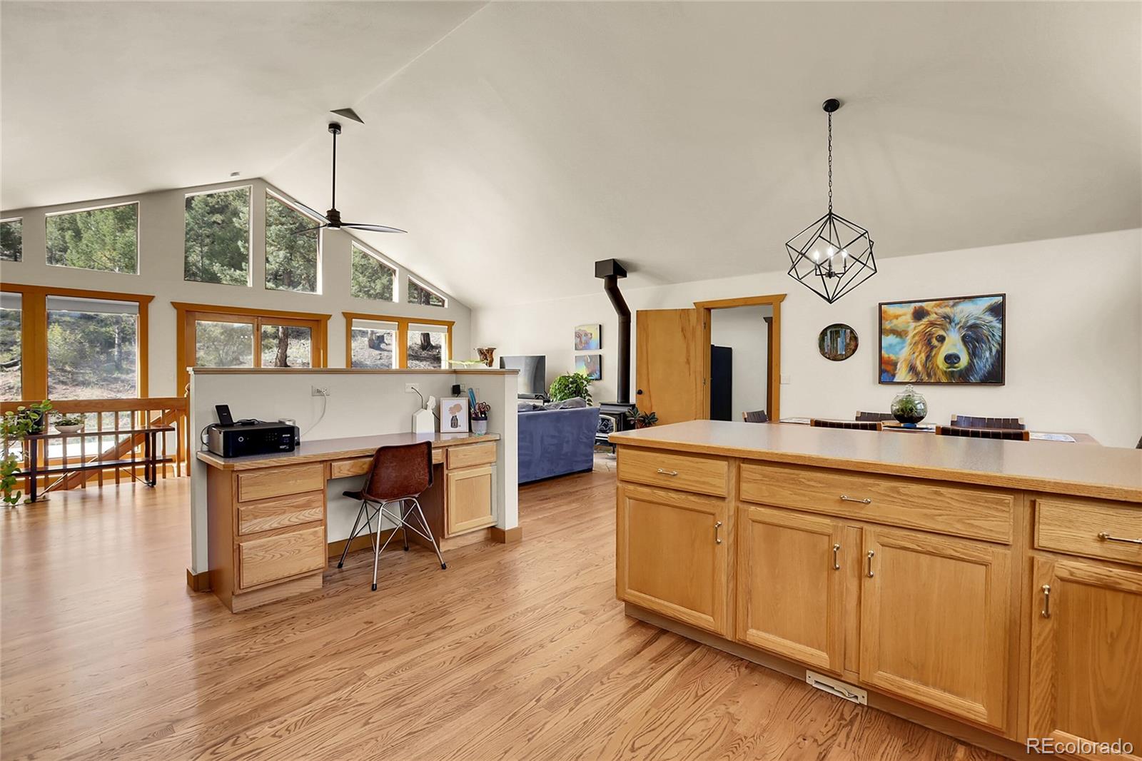 MLS Image #14 for 33624  iroquois trail,pine, Colorado