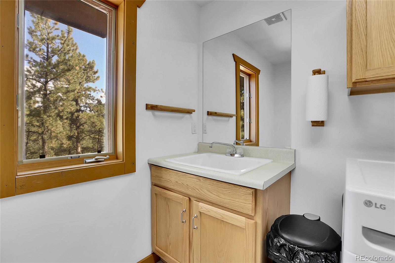 MLS Image #19 for 33624  iroquois trail,pine, Colorado