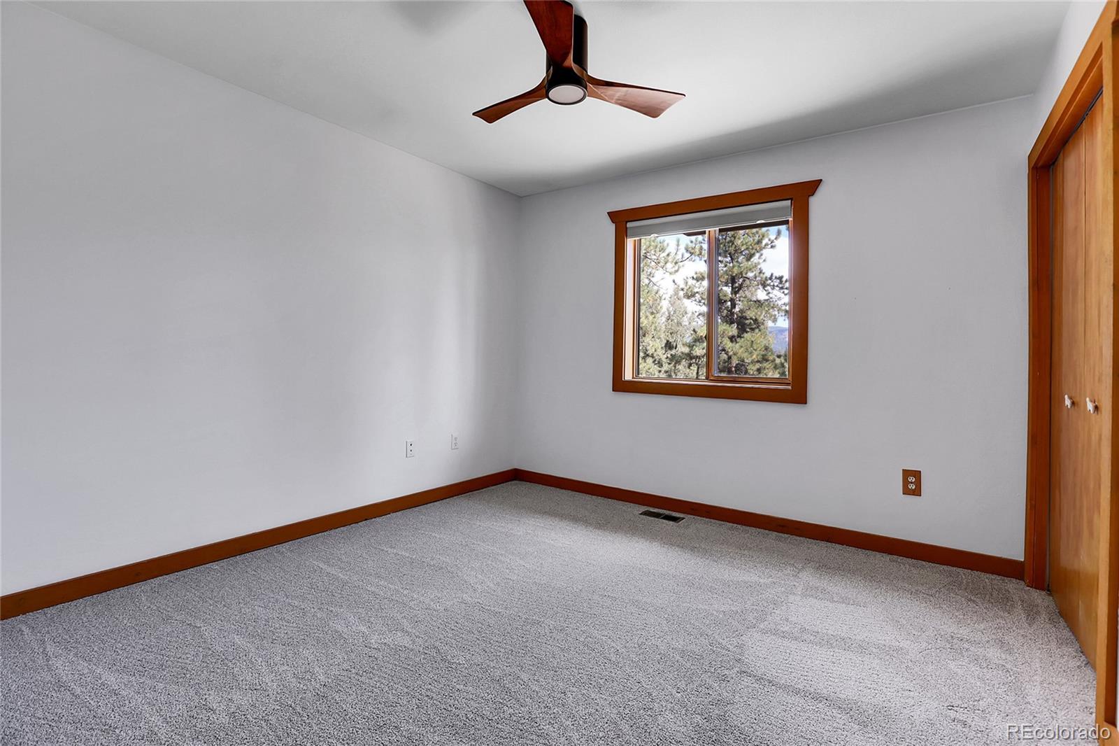 MLS Image #20 for 33624  iroquois trail,pine, Colorado