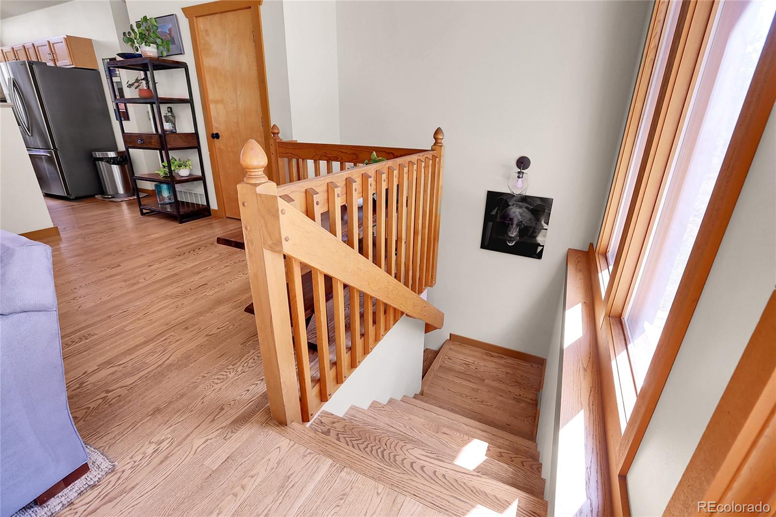 MLS Image #32 for 33624  iroquois trail,pine, Colorado