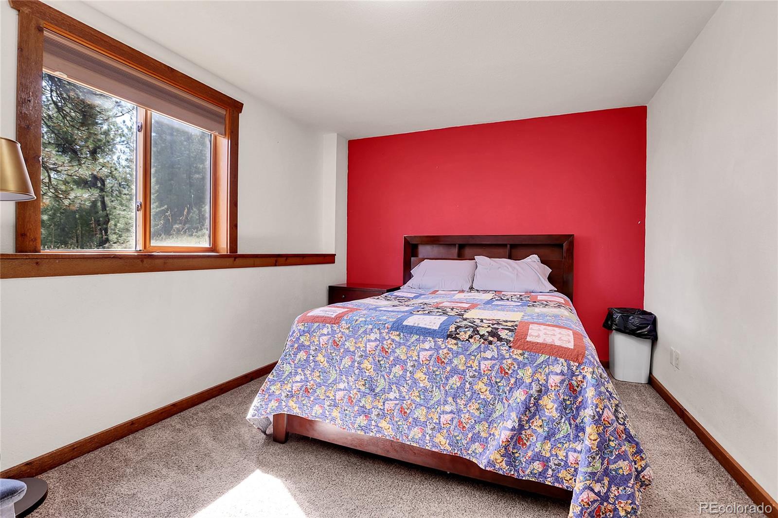MLS Image #37 for 33624  iroquois trail,pine, Colorado