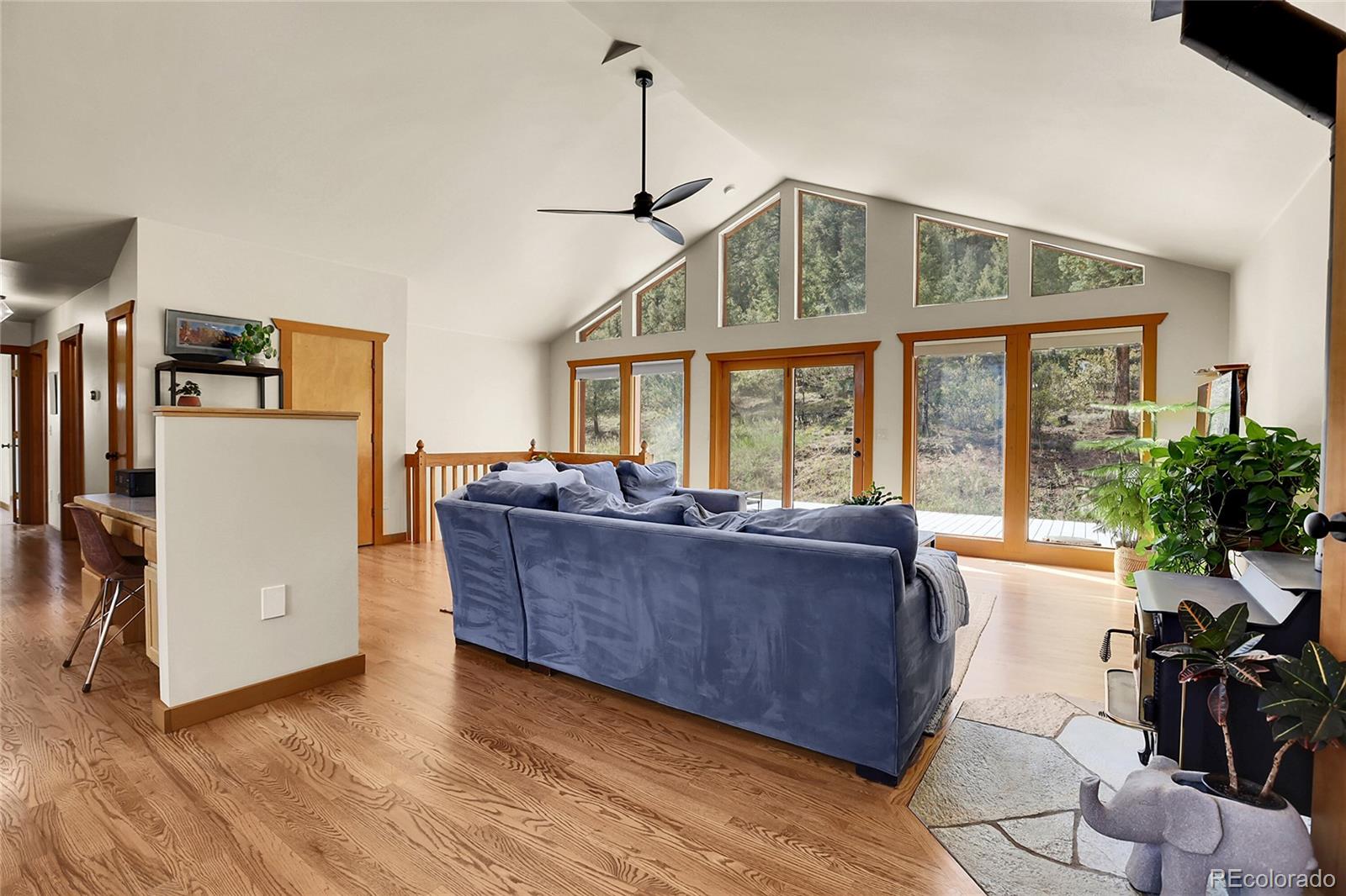 MLS Image #4 for 33624  iroquois trail,pine, Colorado