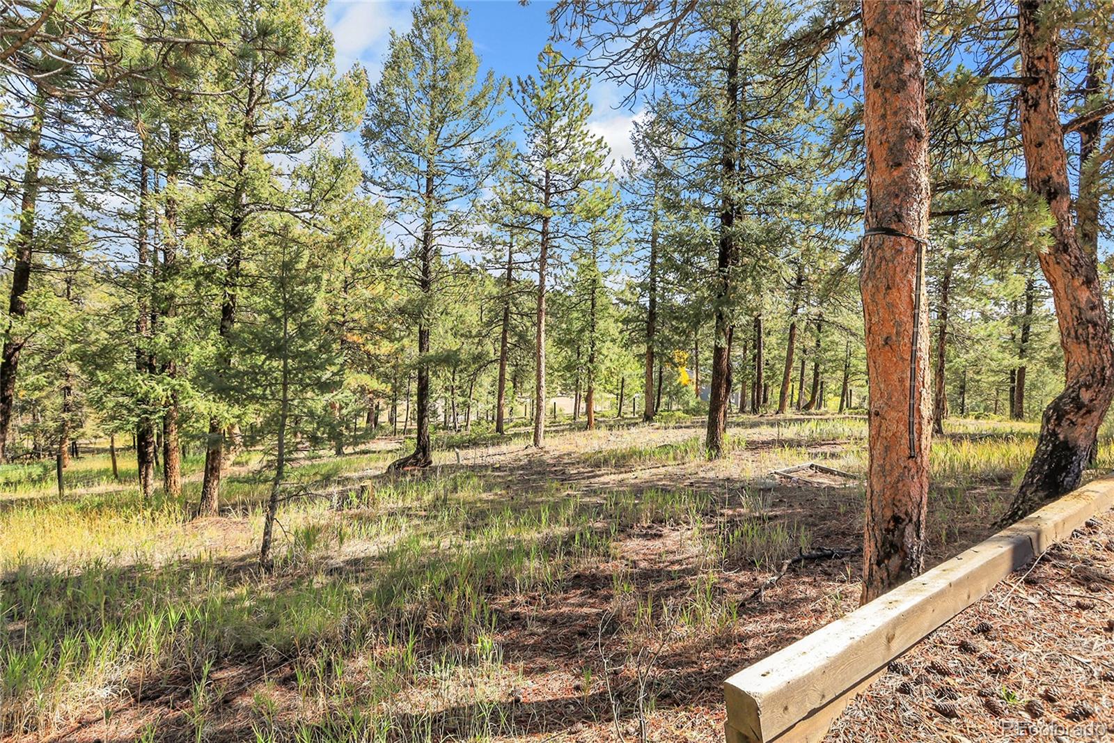 MLS Image #43 for 33624  iroquois trail,pine, Colorado