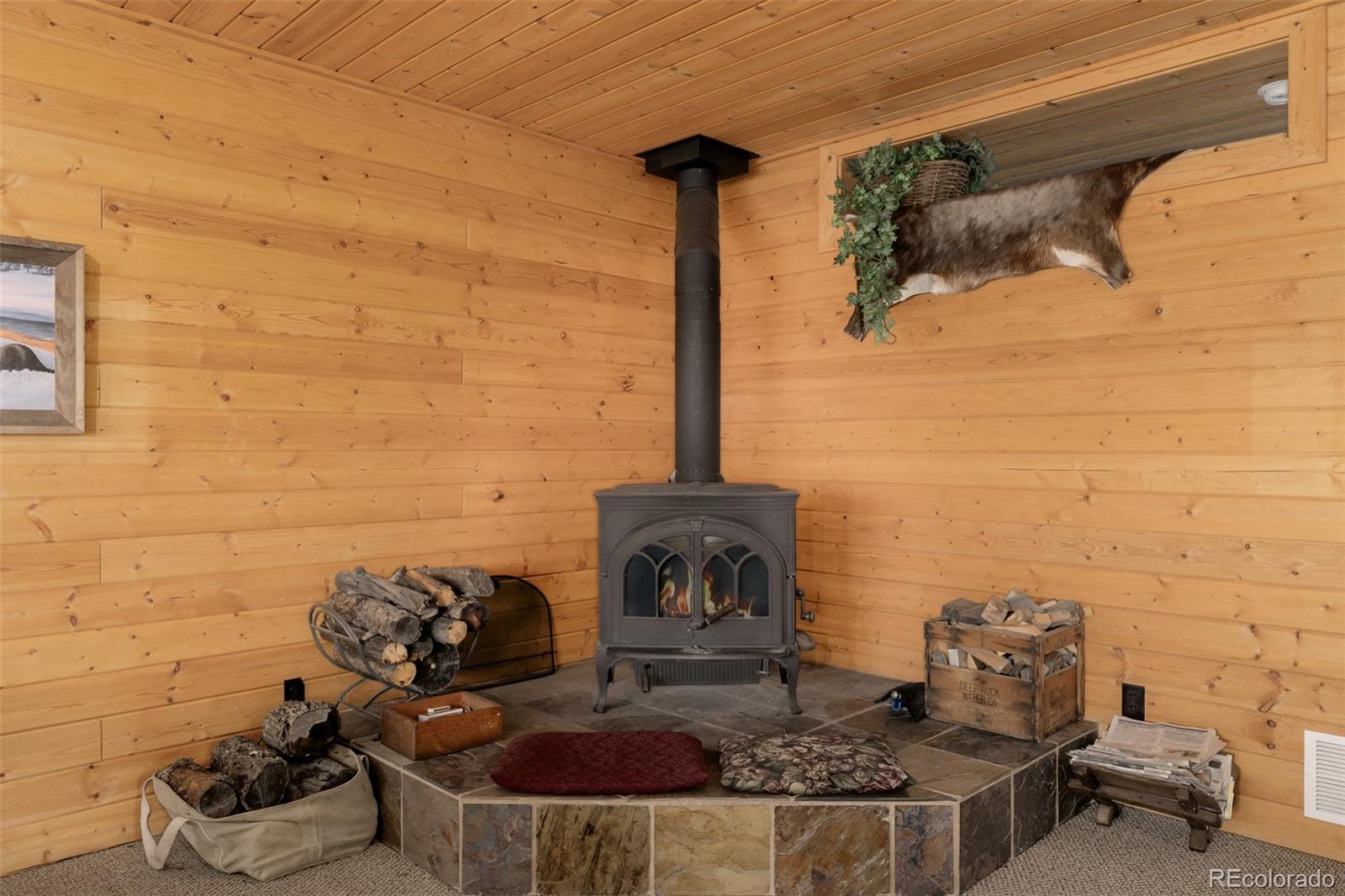 MLS Image #12 for 305  travois court,como, Colorado
