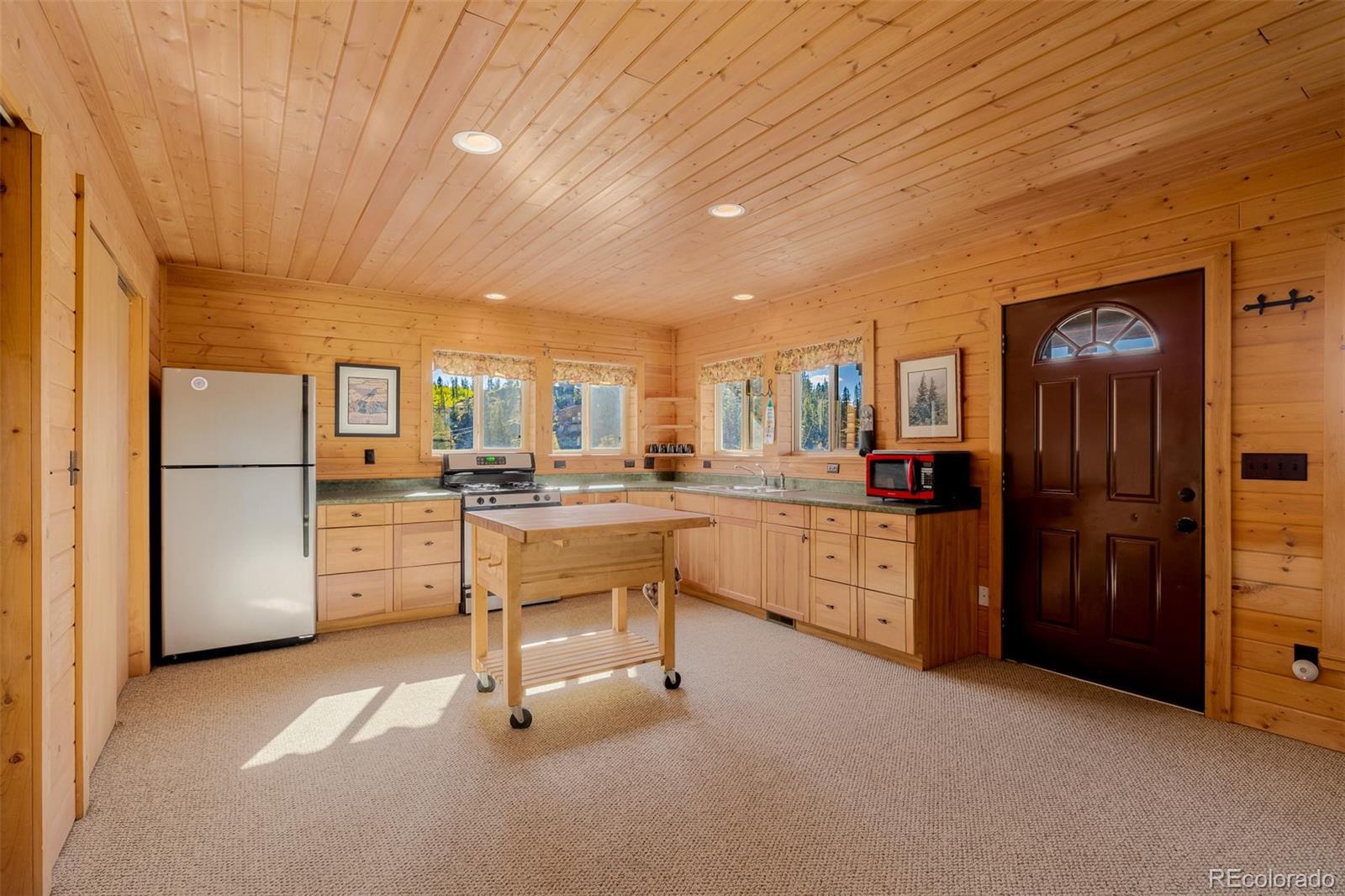 MLS Image #15 for 305  travois court,como, Colorado