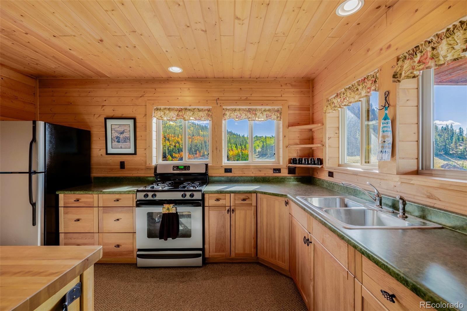 MLS Image #16 for 305  travois court,como, Colorado