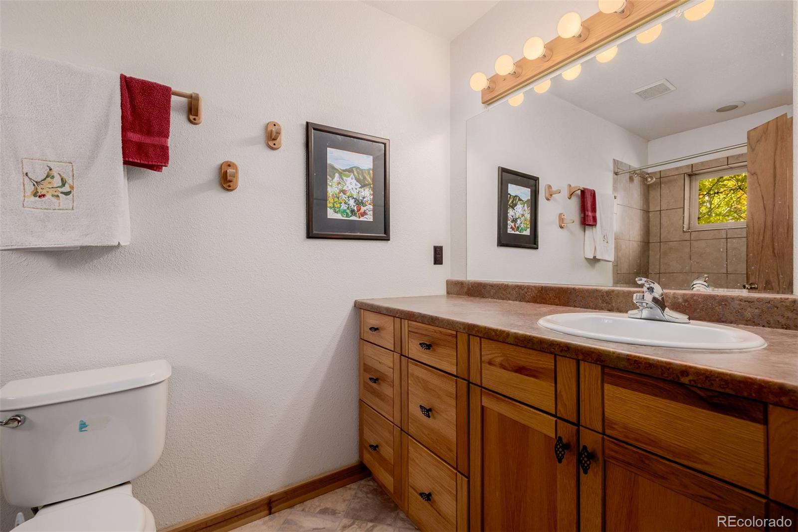 MLS Image #19 for 305  travois court,como, Colorado