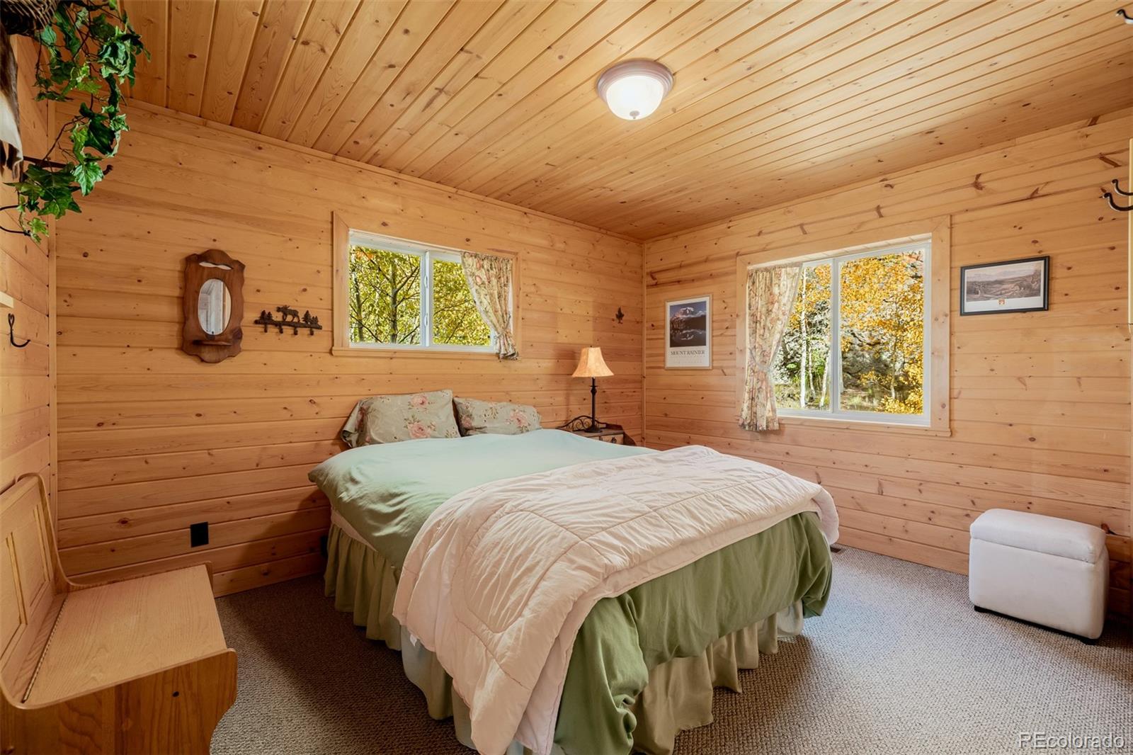 MLS Image #20 for 305  travois court,como, Colorado