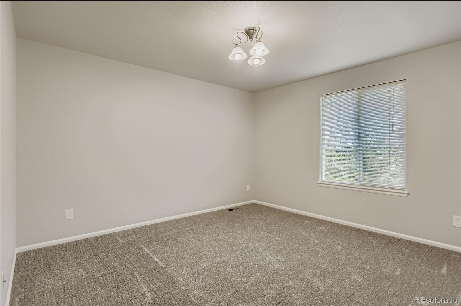 MLS Image #11 for 10726  middlebury way,highlands ranch, Colorado