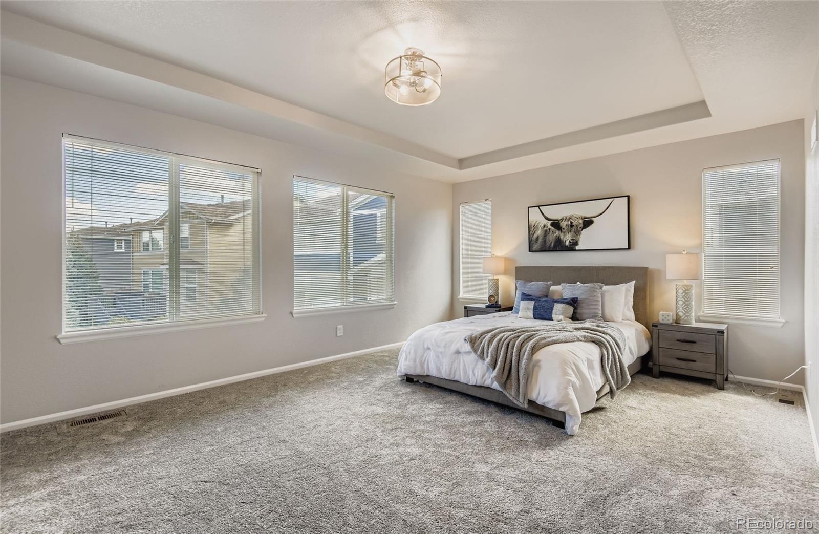 MLS Image #12 for 10726  middlebury way,highlands ranch, Colorado