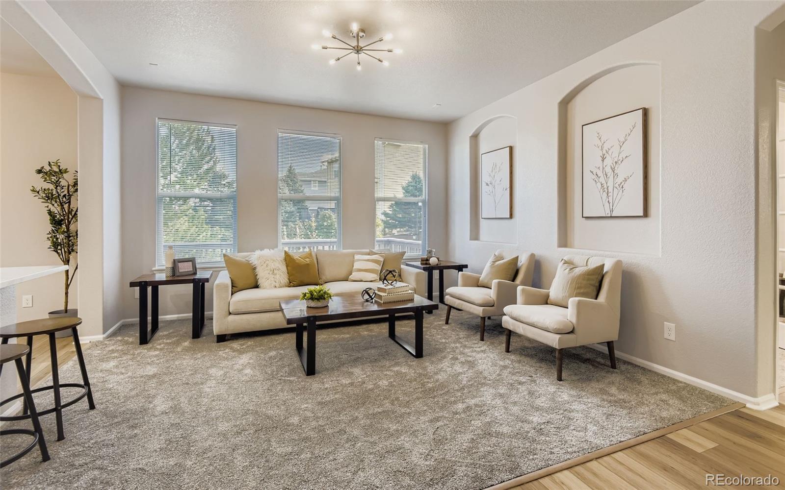 MLS Image #8 for 10726  middlebury way,highlands ranch, Colorado
