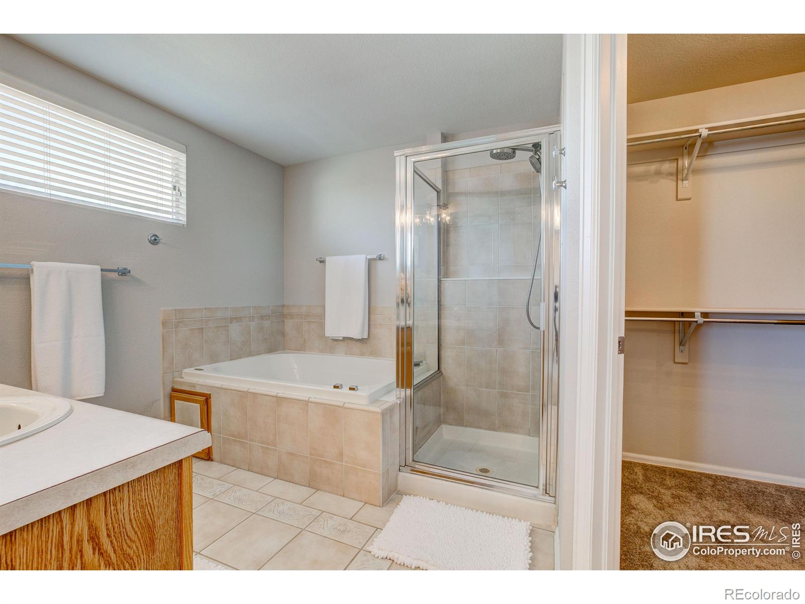 MLS Image #23 for 7008  woodrow drive,fort collins, Colorado