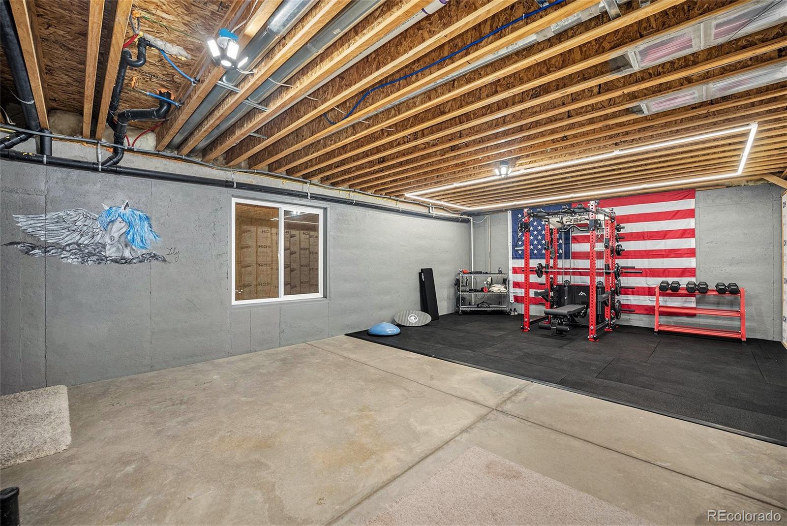 MLS Image #26 for 10305 e 146th place,brighton, Colorado