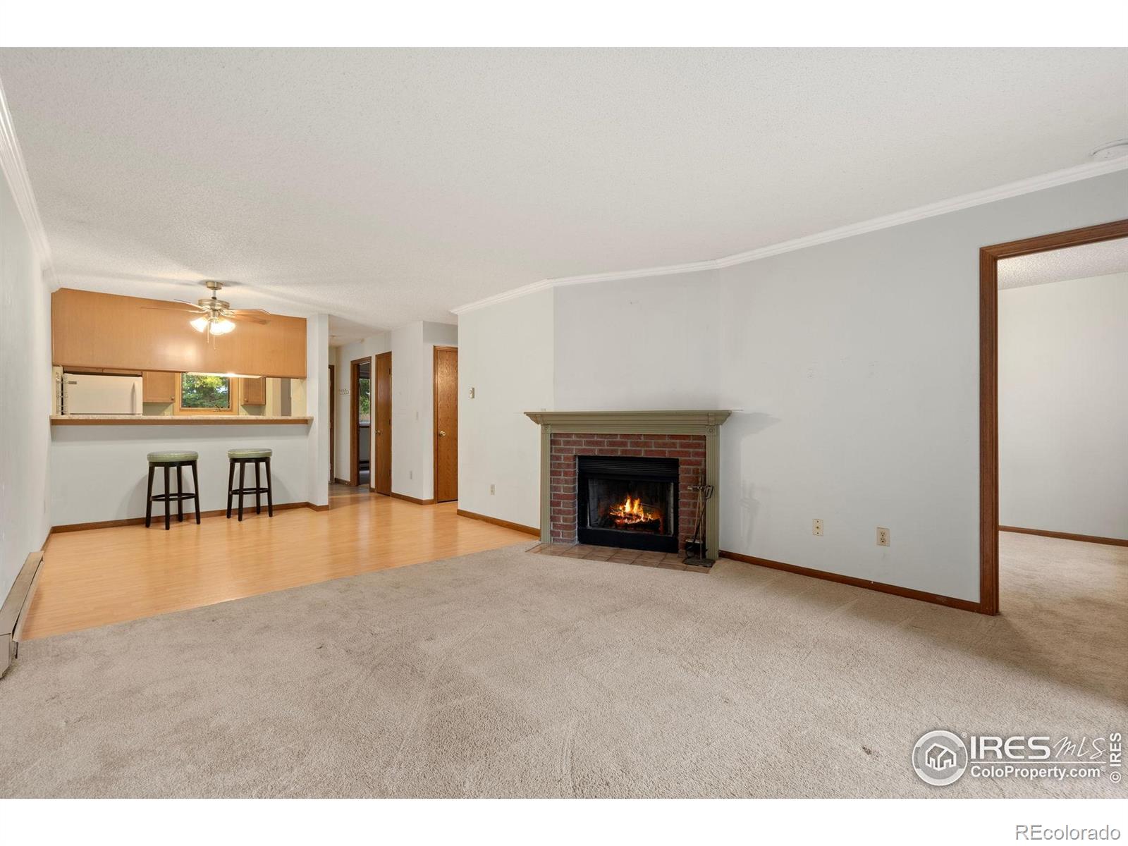 MLS Image #5 for 1213 w swallow road,fort collins, Colorado