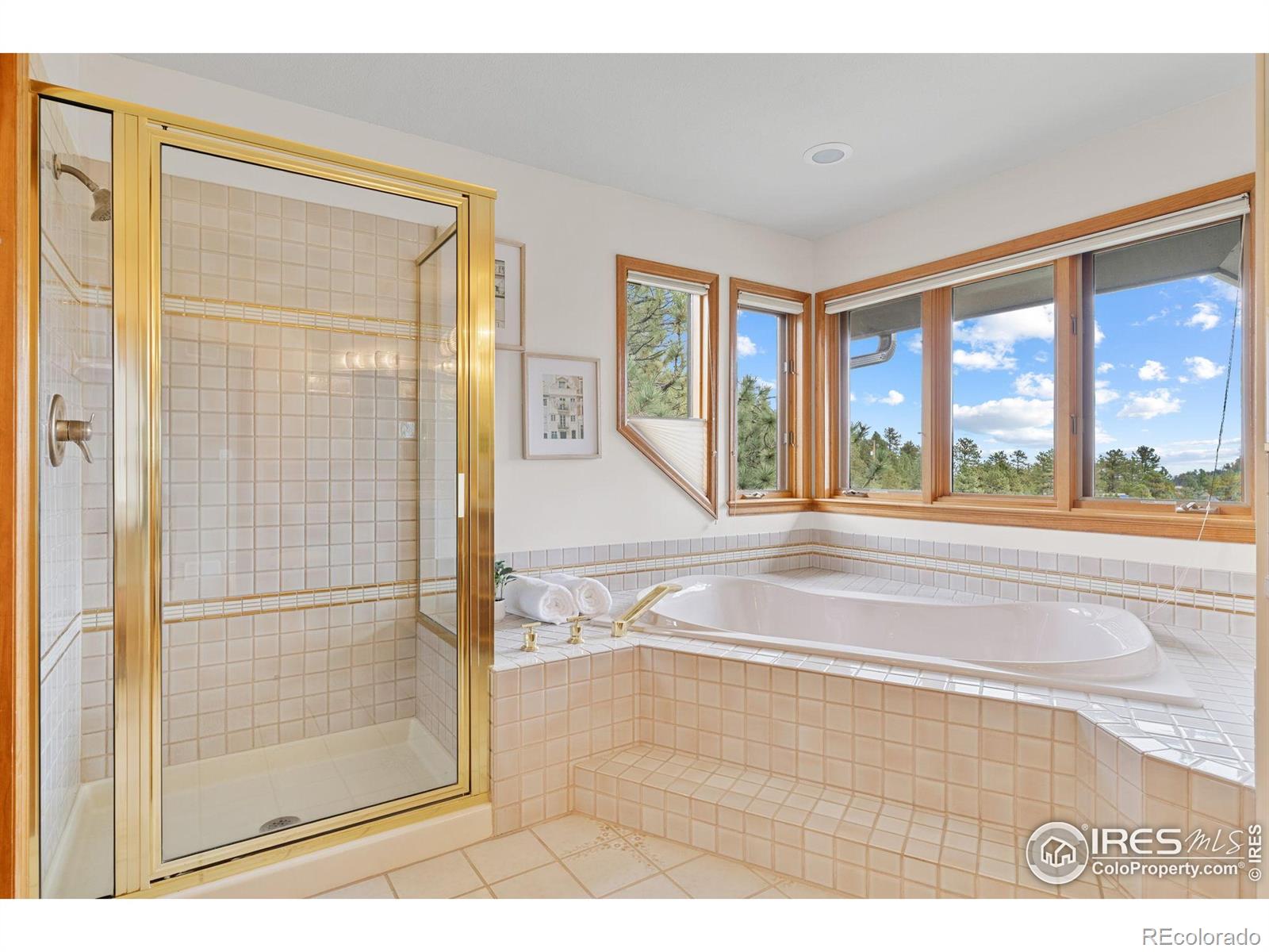 MLS Image #29 for 2554  linden drive,boulder, Colorado