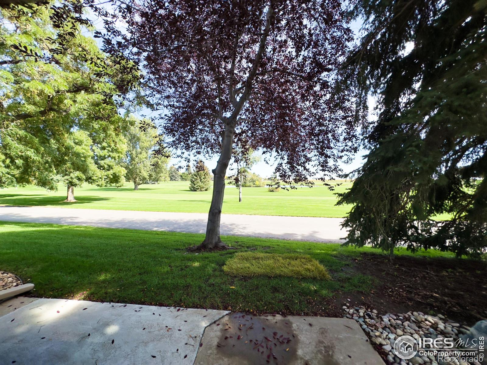 MLS Image #27 for 1604  heber drive,fort collins, Colorado