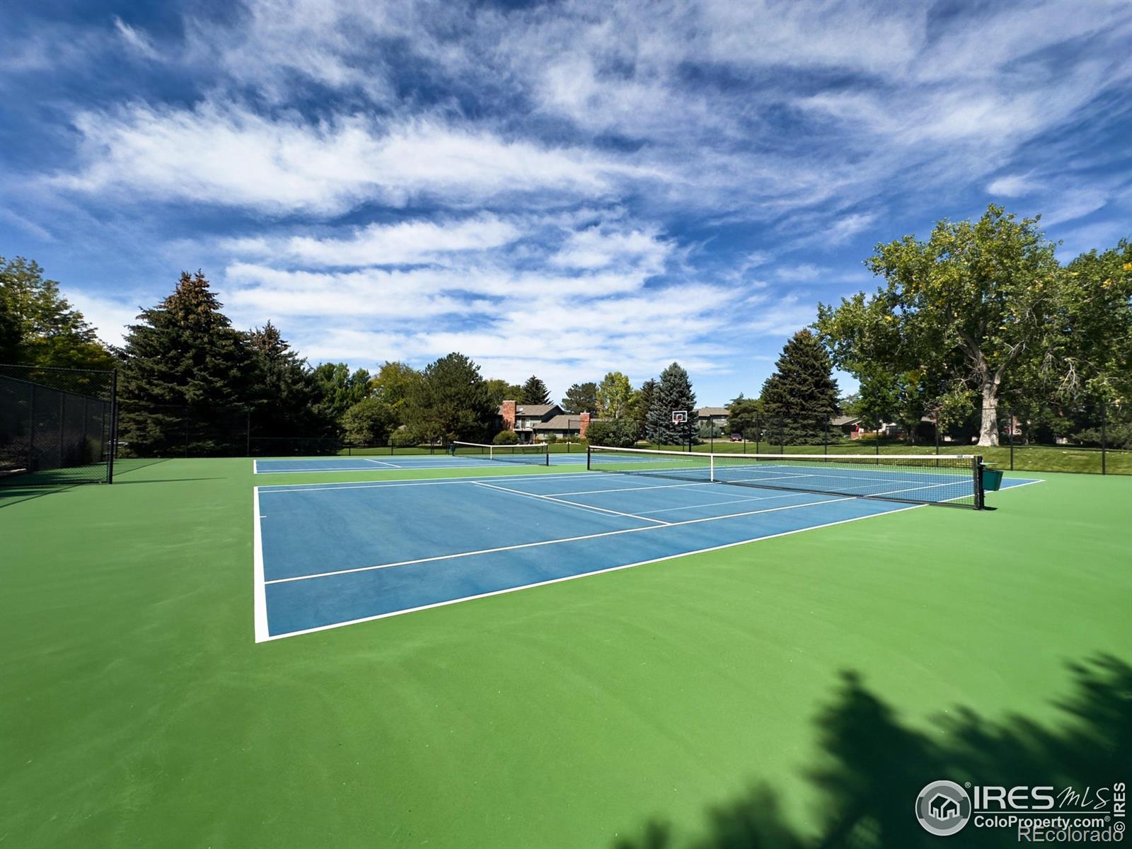 MLS Image #30 for 1604  heber drive,fort collins, Colorado