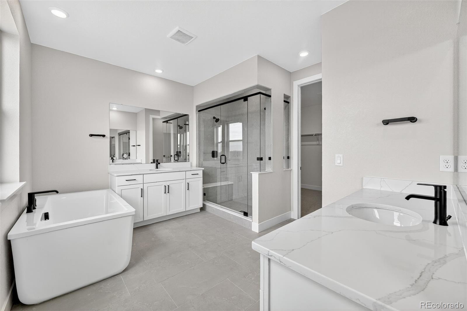 MLS Image #3 for 5674  farrier point,castle rock, Colorado