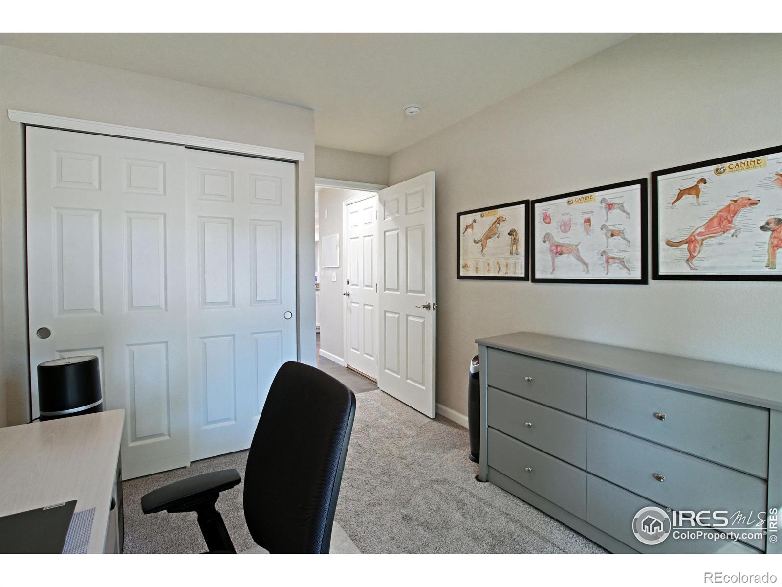 MLS Image #15 for 1555  oak creek drive,loveland, Colorado