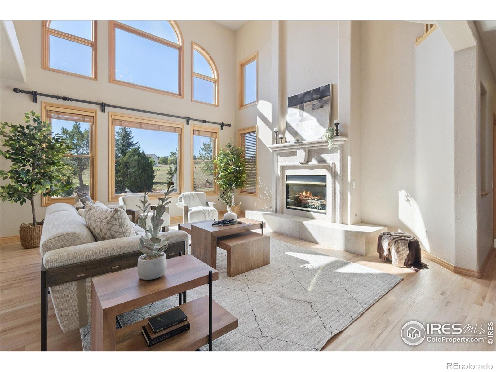 MLS Image #5 for 9880 e 155th place,brighton, Colorado