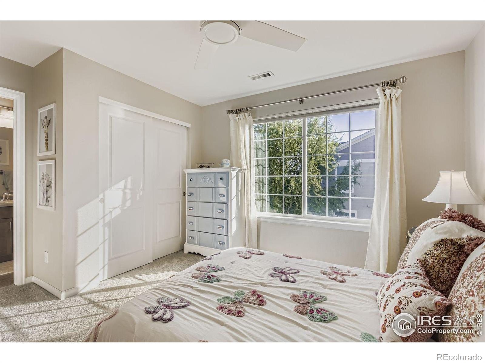 MLS Image #16 for 5025  eagan circle,longmont, Colorado